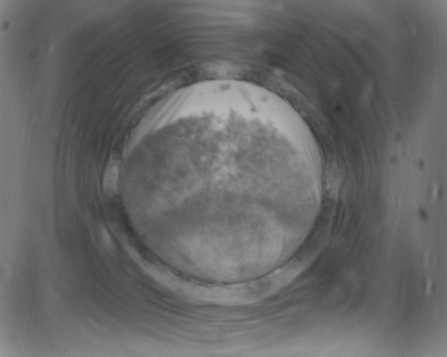 X0000084050036200703161908