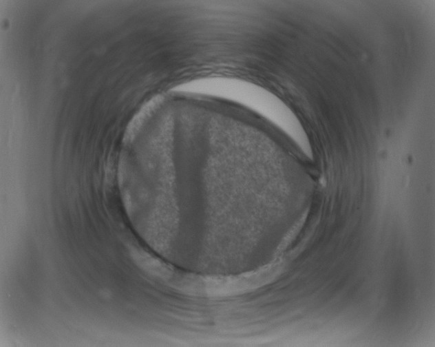 X0000084050037200703161908