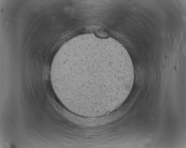 X0000084050038200703161908