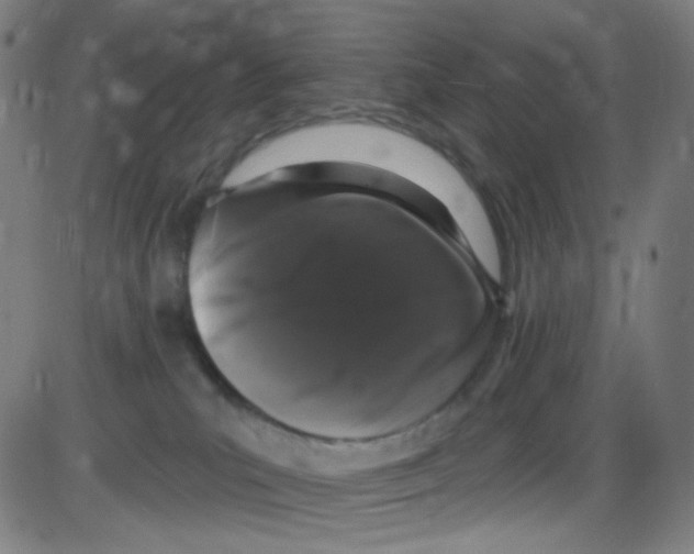 X0000084050039200703161908