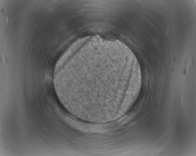 X0000084050040200703161908