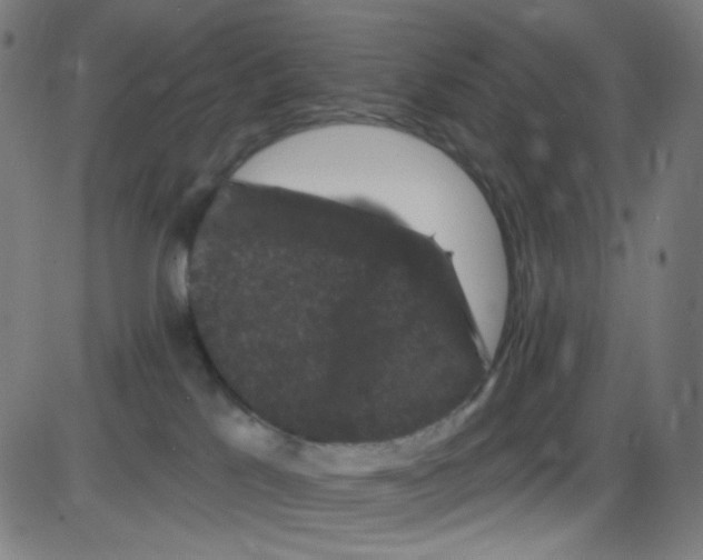 X0000084050041200703161908