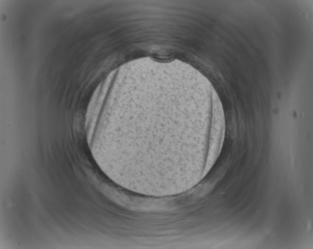 X0000084050044200703161908