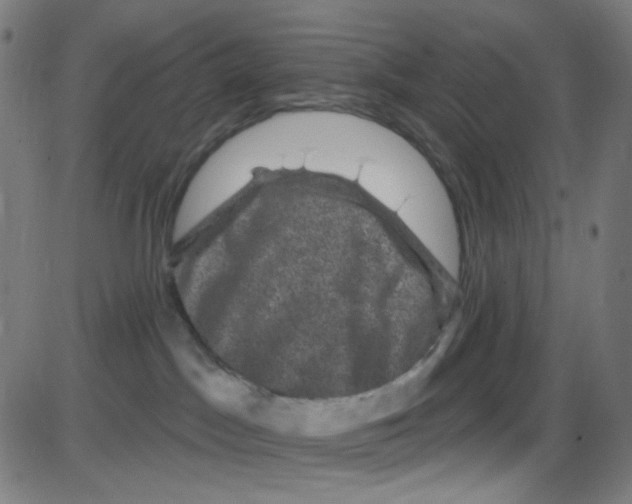 X0000084050045200703161908