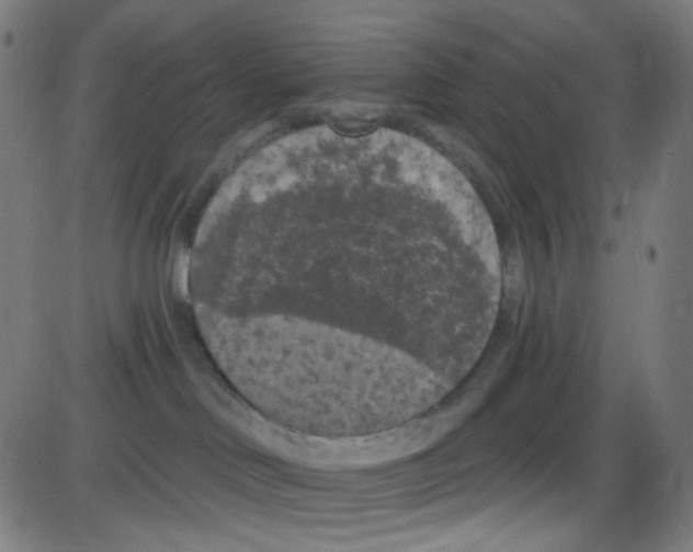 X0000084050046200703161908