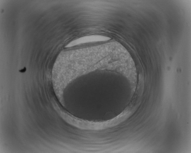 X0000084050048200703161908