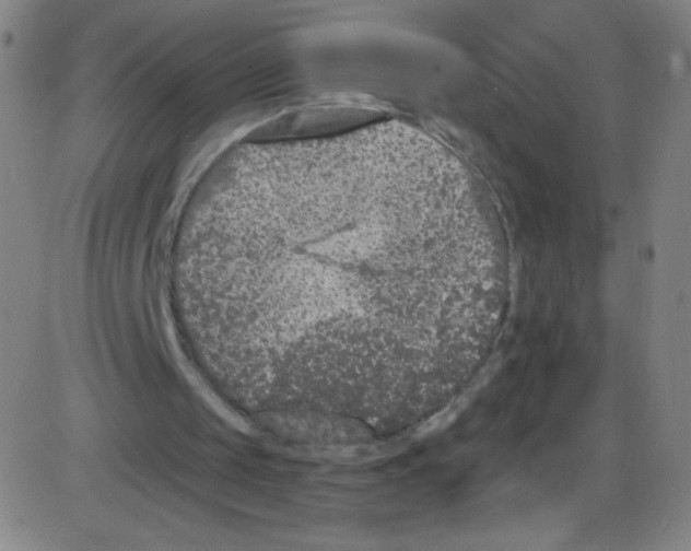 X0000084050049200703161907