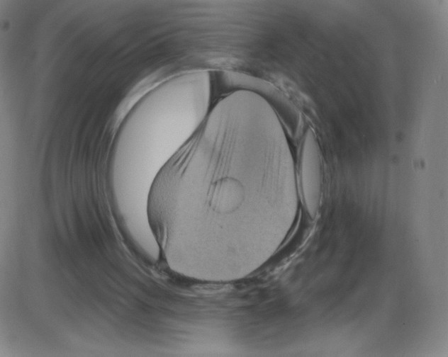 X0000084050051200703161907