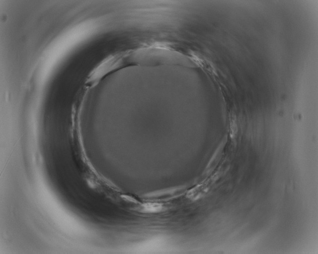 X0000084050052200703161907