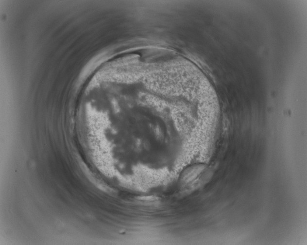 X0000084050053200703161907