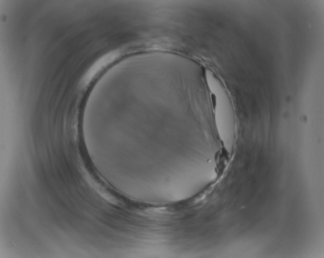 X0000084050054200703161907