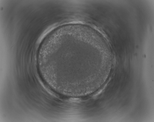 X0000084050055200703161907