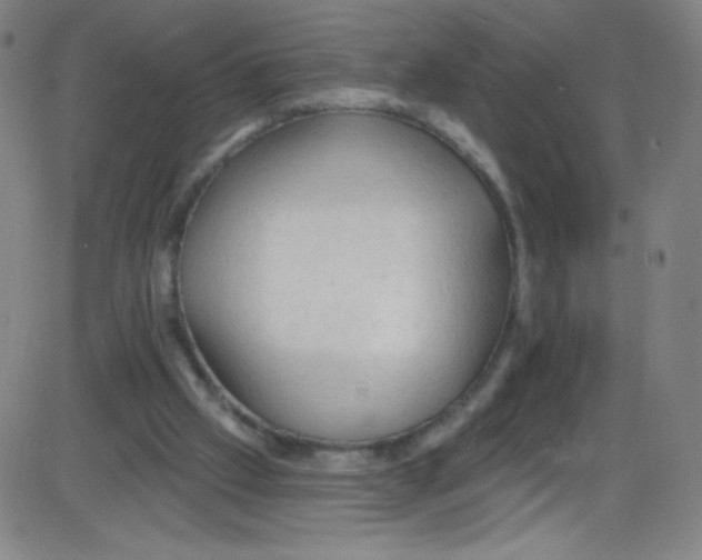 X0000084050057200703161907