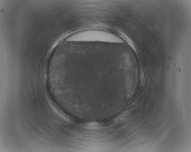 X0000084050059200703161907