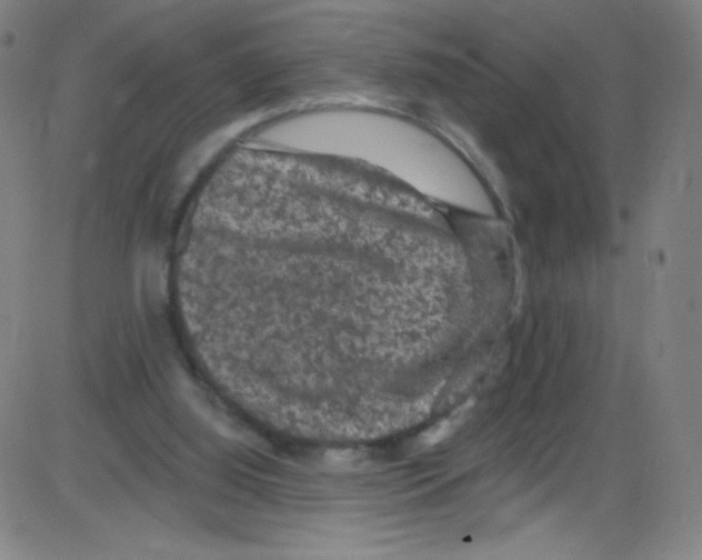 X0000084050060200703161907