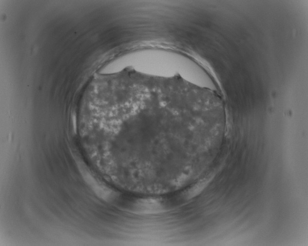 X0000084050061200703161907