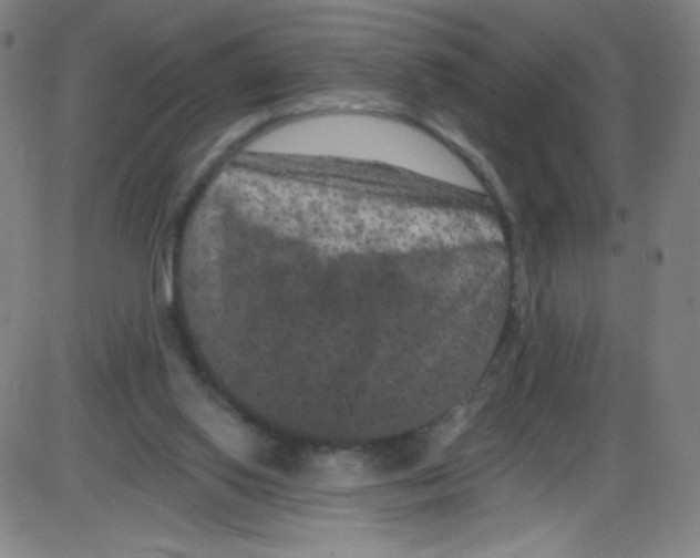 X0000084050062200703161907