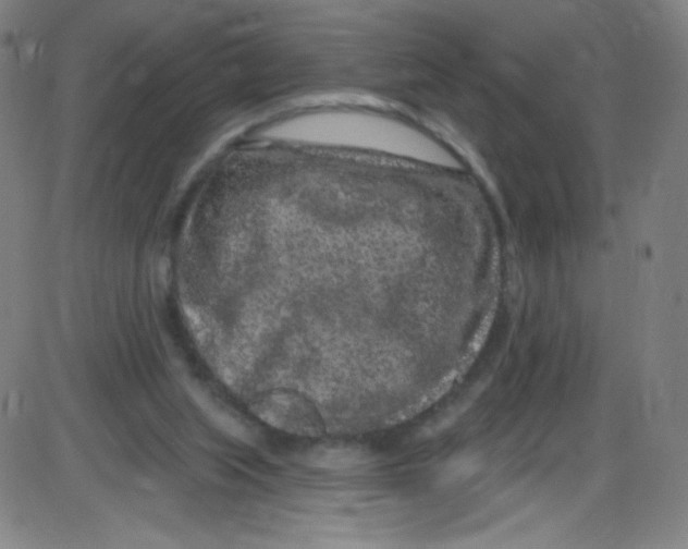 X0000084050063200703161907