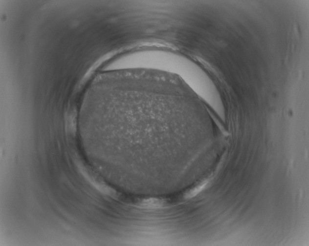 X0000084050064200703161907