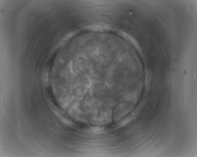 X0000084050065200703161907