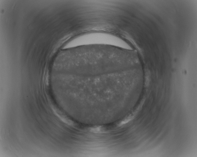 X0000084050068200703161907