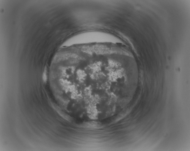 X0000084050069200703161907