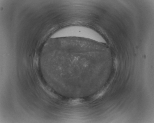 X0000084050072200703161907