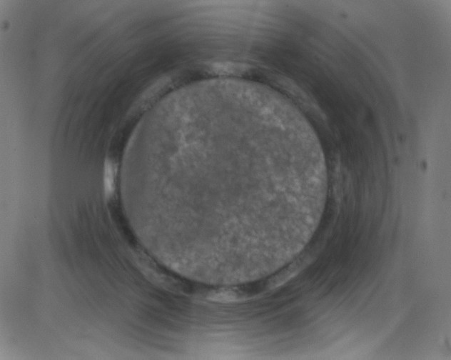 X0000084050075200703161907