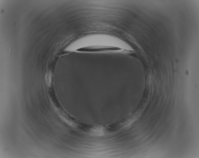 X0000084050076200703161907