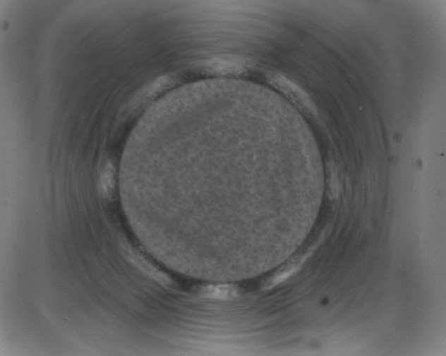 X0000084050077200703161907