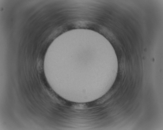 X0000084050079200703161907