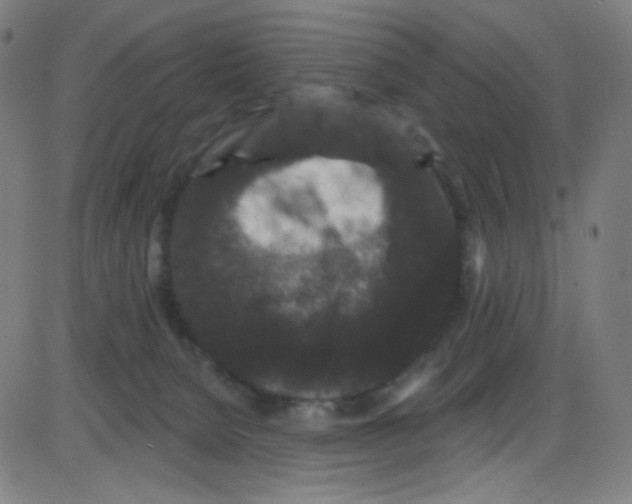 X0000084050080200703161907