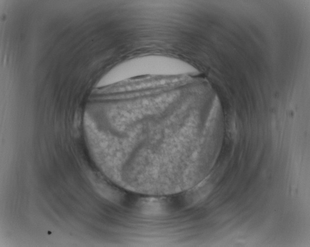 X0000084050082200703161907