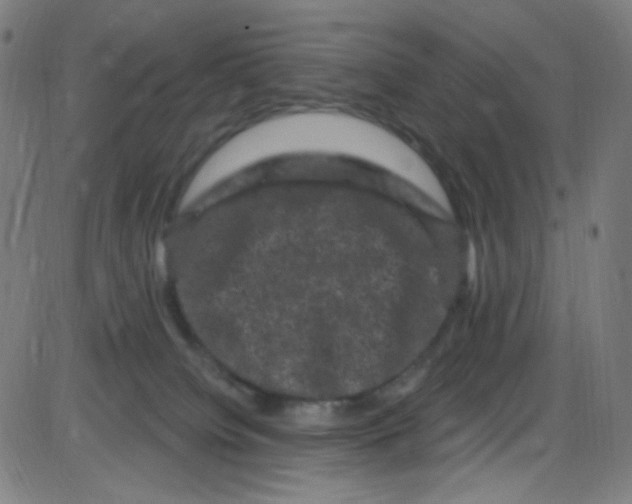 X0000084050084200703161907