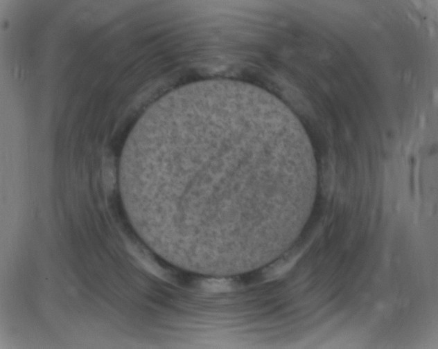 X0000084050085200703161908