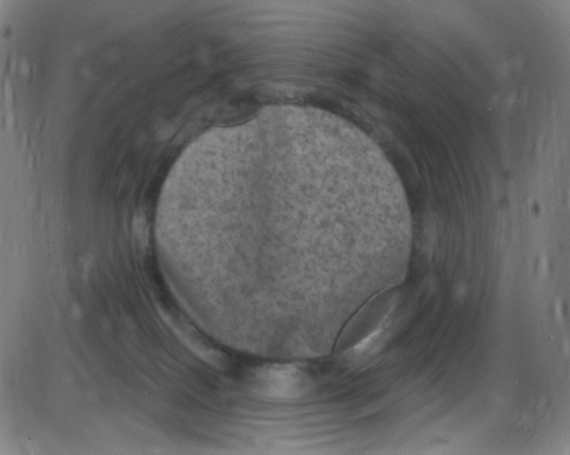 X0000084050086200703161908