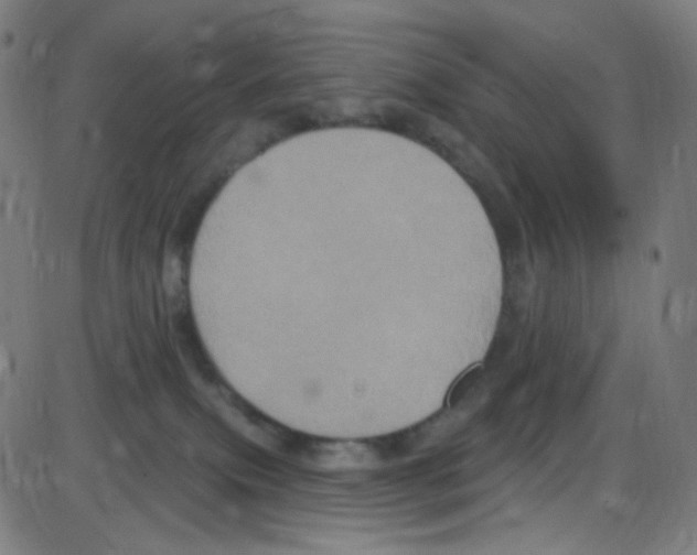 X0000084050087200703161908