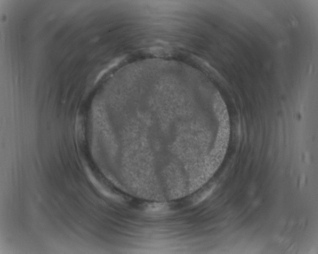 X0000084050088200703161908