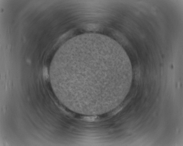 X0000084050089200703161908