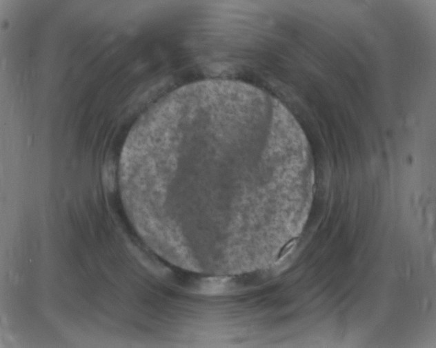 X0000084050090200703161908