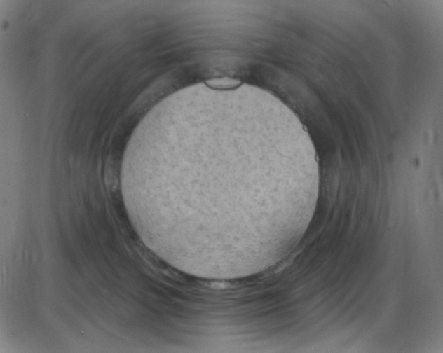 X0000084050091200703161908