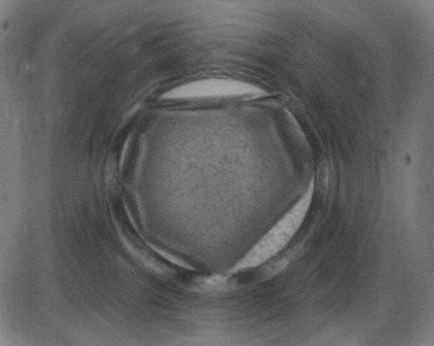 X0000084050092200703161908