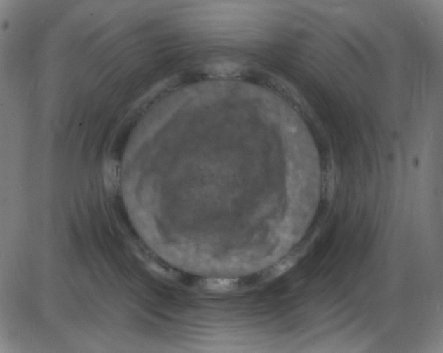 X0000084050093200703161908