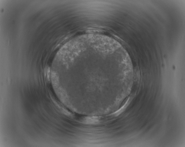 X0000084050094200703161908