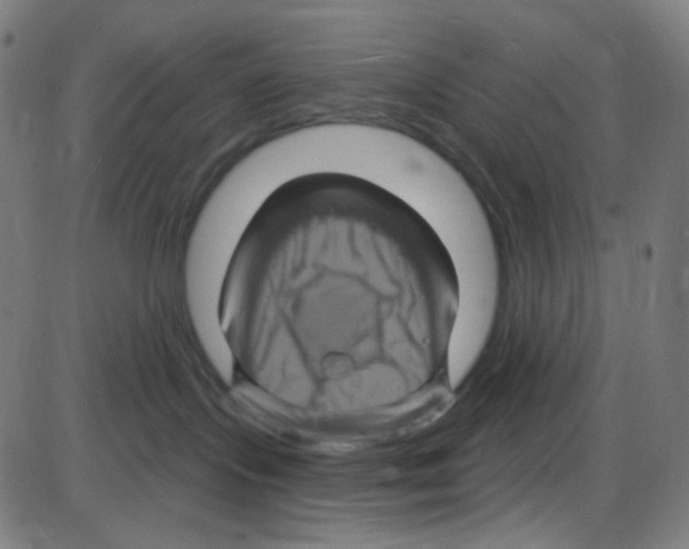 X0000084050095200703161908