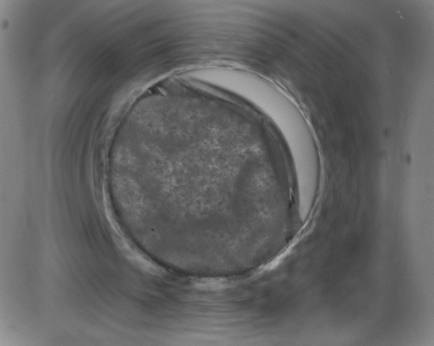 X0000084050097200703161907