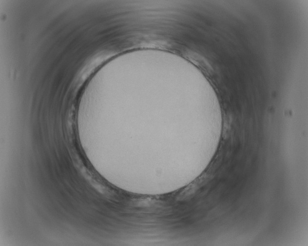 X0000084050098200703161907