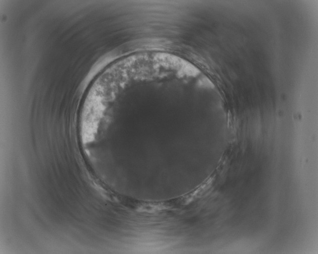 X0000084050099200703161907