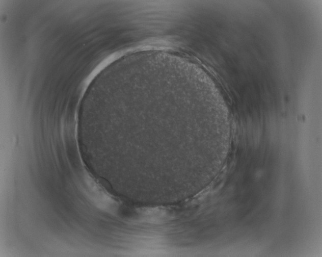 X0000084050100200703161907