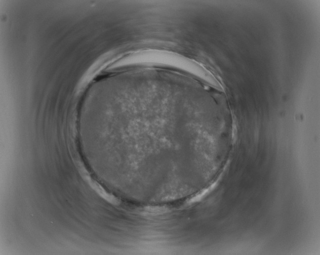 X0000084050101200703161907